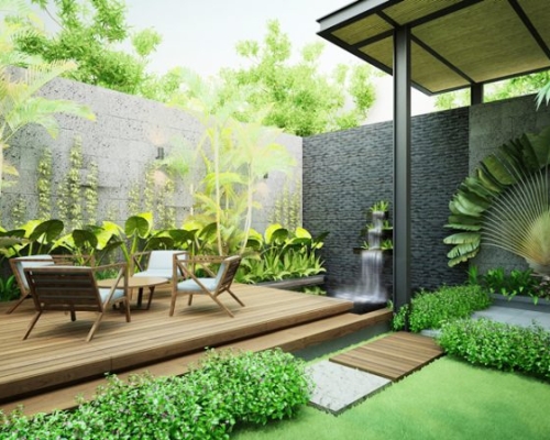 Những Loại Cây Thủy Sinh Thích Hợp Cho Phòng Làm Việc