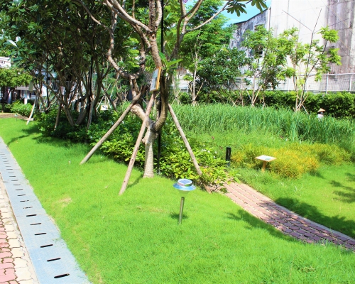 Tư Vấn Thiết Kế Cảnh Quan