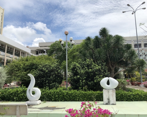 Tư Vấn Thiết Kế Cảnh Quan
