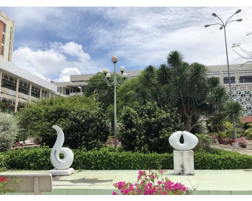 Tư Vấn Thiết Kế Cảnh Quan