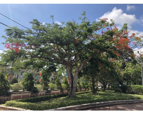 Tư Vấn Thiết Kế Cảnh Quan