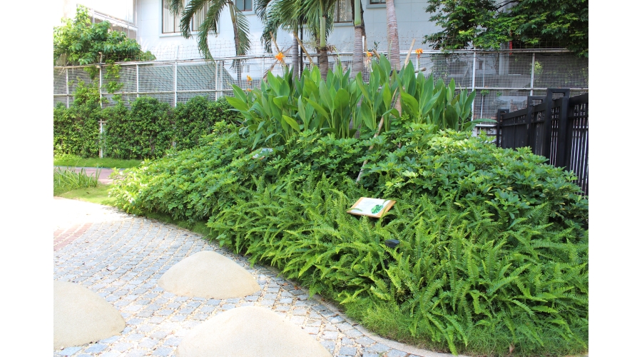 TRƯỜNG ĐẠI HỌC XÂY DỰNG MIỀN TÂY