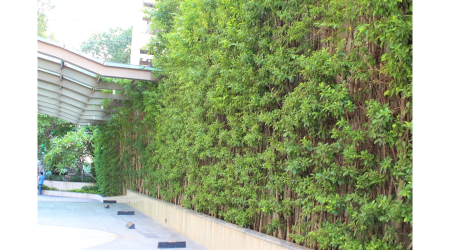 TRƯỜNG ĐẠI HỌC XÂY DỰNG MIỀN TÂY