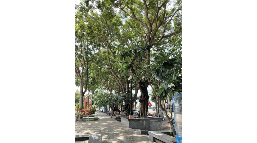 TRƯỜNG ĐẠI HỌC XÂY DỰNG MIỀN TÂY TRƯỜNG ĐẠI HỌC XÂY DỰNG MIỀN TÂY