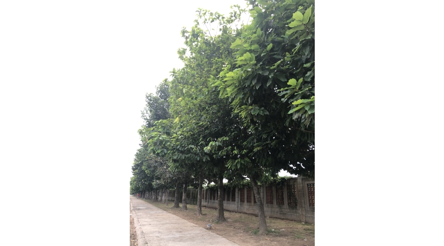 TRƯỜNG ĐẠI HỌC XÂY DỰNG MIỀN TÂY TRƯỜNG ĐẠI HỌC XÂY DỰNG MIỀN TÂY
