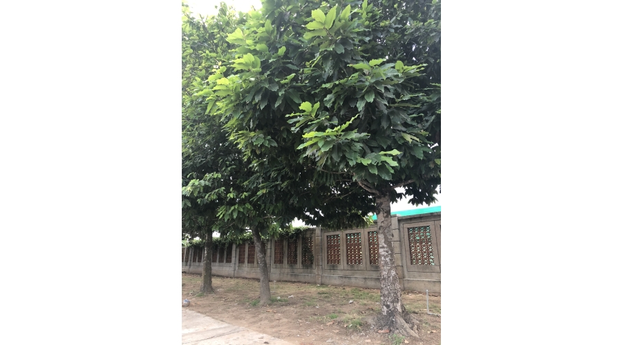 TRƯỜNG ĐẠI HỌC XÂY DỰNG MIỀN TÂY TRƯỜNG ĐẠI HỌC XÂY DỰNG MIỀN TÂY