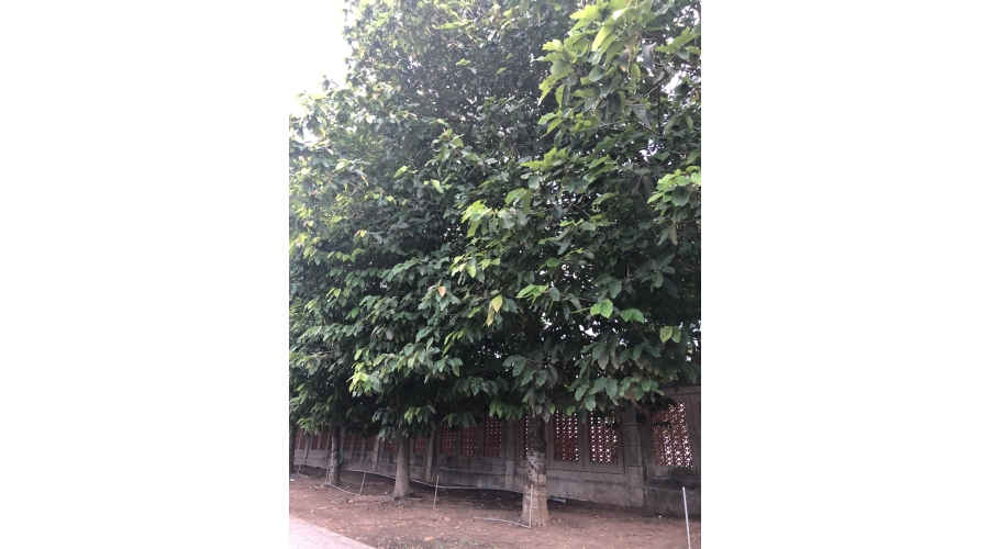 TRƯỜNG ĐẠI HỌC XÂY DỰNG MIỀN TÂY TRƯỜNG ĐẠI HỌC XÂY DỰNG MIỀN TÂY