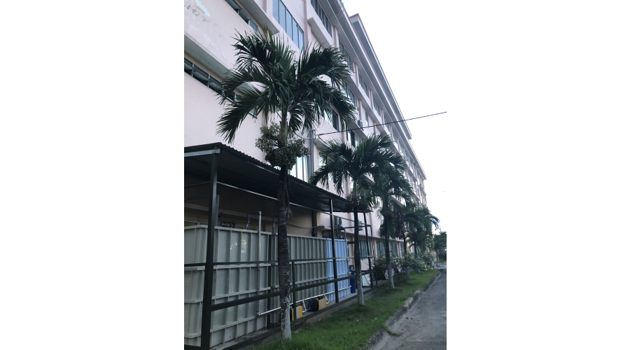 TRƯỜNG ĐẠI HỌC XÂY DỰNG MIỀN TÂY TRƯỜNG ĐẠI HỌC XÂY DỰNG MIỀN TÂY