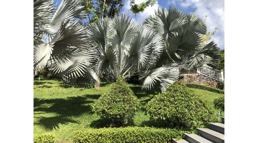 TRƯỜNG ĐẠI HỌC XÂY DỰNG MIỀN TÂY TRƯỜNG ĐẠI HỌC XÂY DỰNG MIỀN TÂY