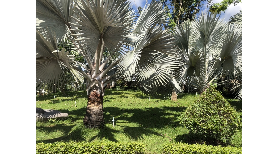 TRƯỜNG ĐẠI HỌC XÂY DỰNG MIỀN TÂY TRƯỜNG ĐẠI HỌC XÂY DỰNG MIỀN TÂY