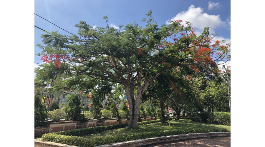 TRƯỜNG ĐẠI HỌC XÂY DỰNG MIỀN TÂY TRƯỜNG ĐẠI HỌC XÂY DỰNG MIỀN TÂY